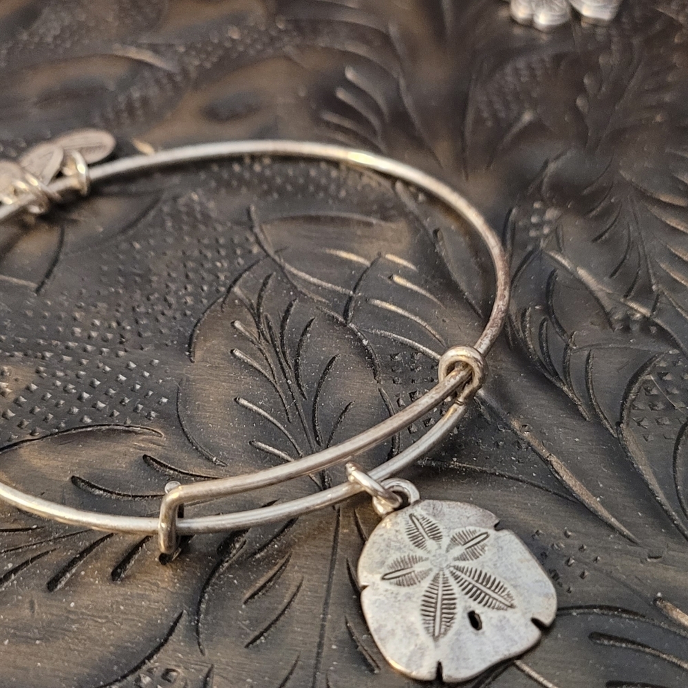 Alex&Ani Bangle